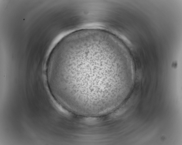 X0000100951470200807081206