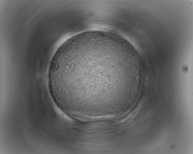 X0000100951471200807081206