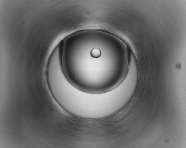 X0000100951472200807081206