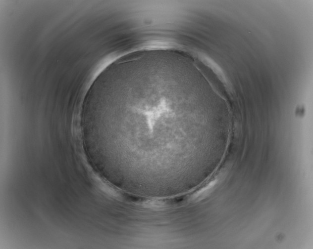 X0000100951473200807081206