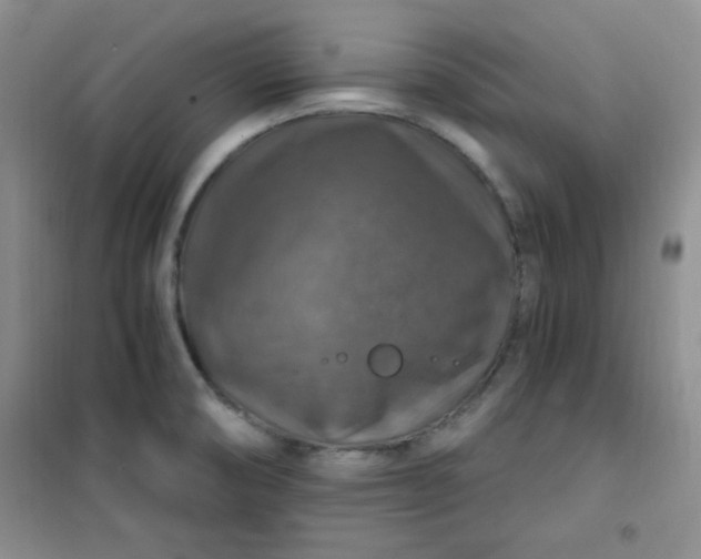 X0000100951474200807081206