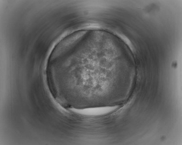 X0000100951475200807081206