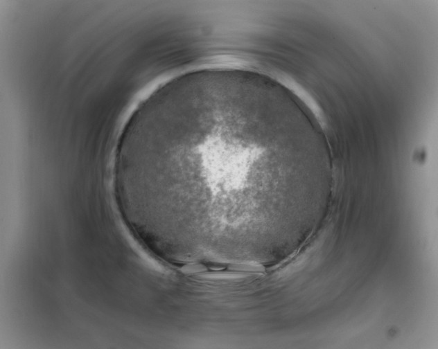 X0000100951477200807081206