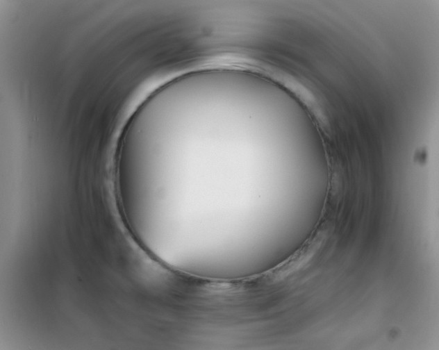 X0000100951478200807081206