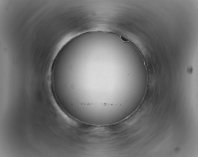 X0000100951479200807081206