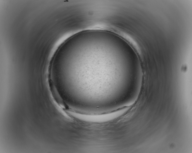 X0000100951480200807081206