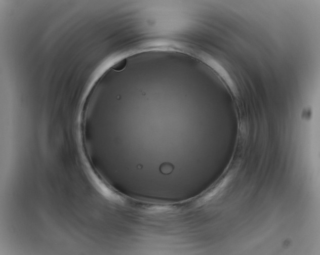 X0000100951482200807081206