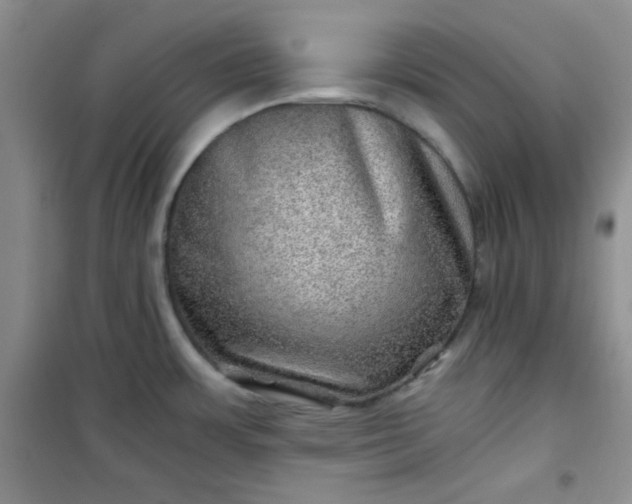 X0000100951483200807081206