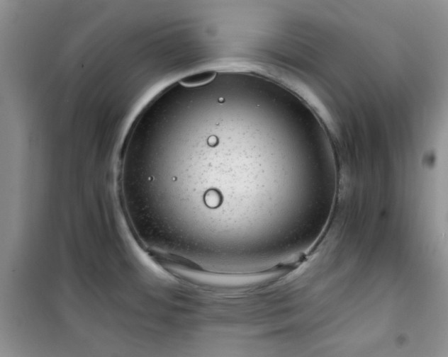 X0000100951484200807081206