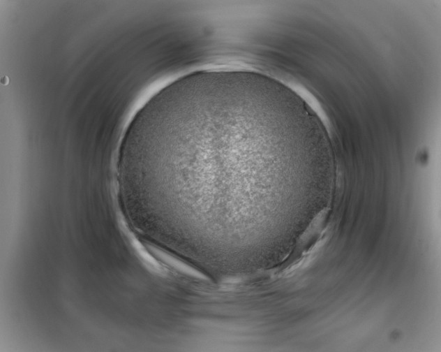 X0000100951485200807081206