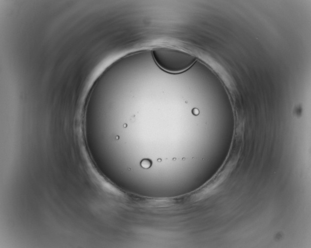 X0000100951486200807081206