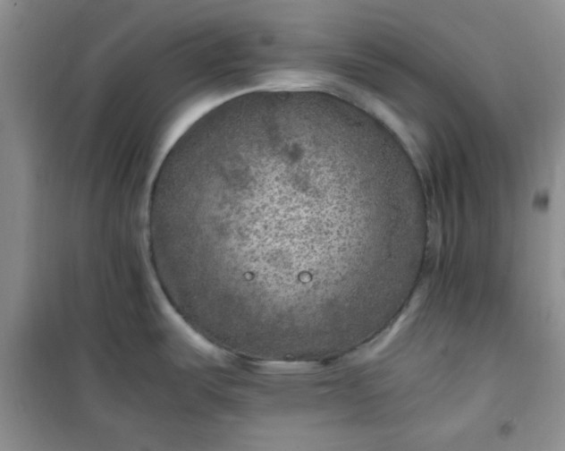 X0000100951487200807081206