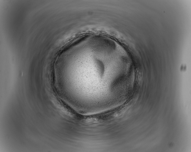 X0000100951489200807081205