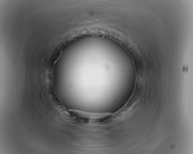 X0000100951490200807081205