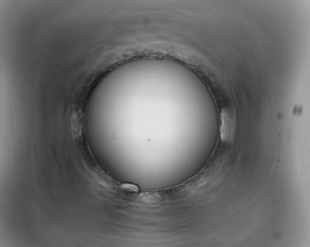 X0000100951491200807081205