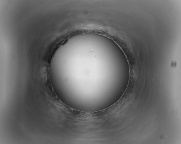 X0000100951493200807081205
