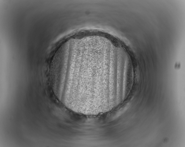 X0000100951494200807081205