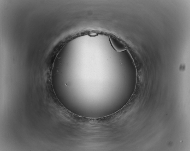 X0000100951495200807081205