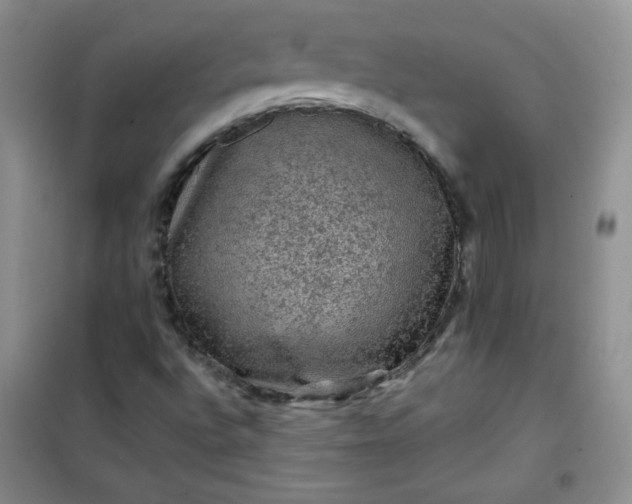 X0000100951496200807081205