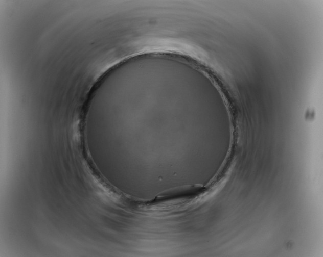 X0000100951497200807081206