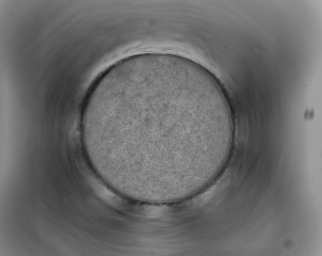 X0000100951498200807081206