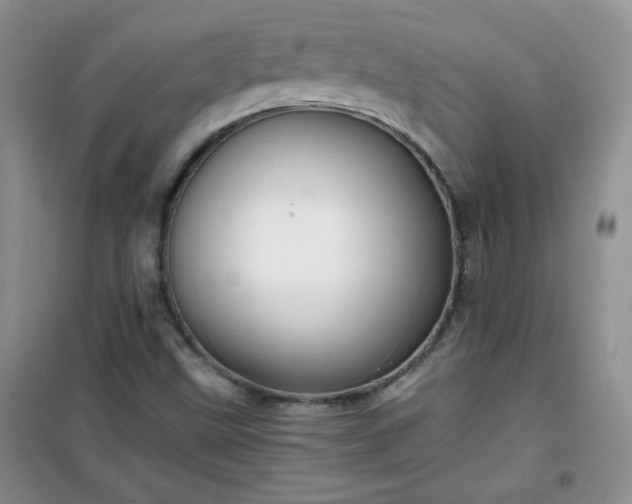 X0000100951499200807081206