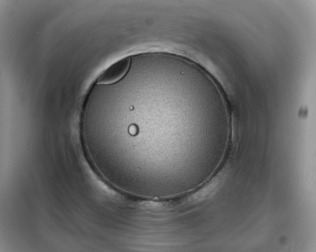 X0000100951500200807081206