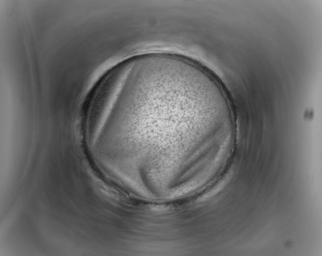 X0000100951501200807081206