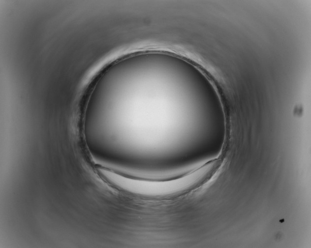 X0000100951502200807081206