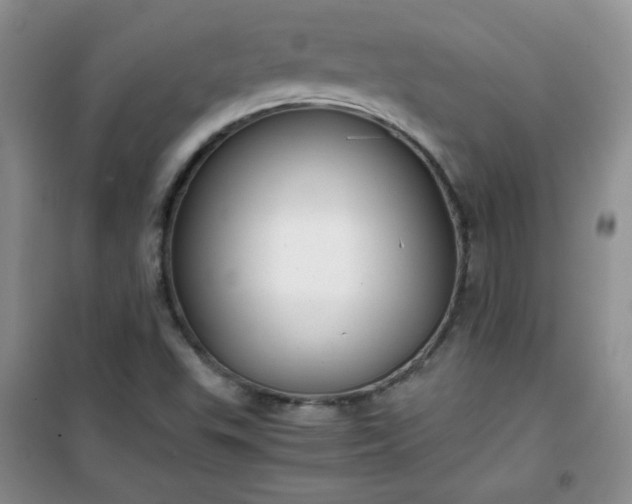 X0000100951503200807081206