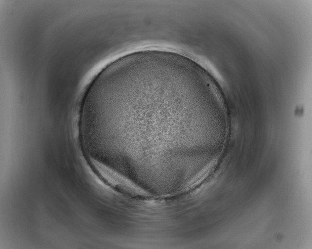 X0000100951504200807081206