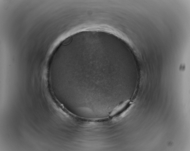 X0000100951506200807081206