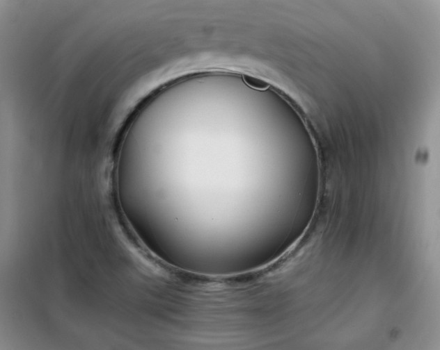 X0000100951507200807081206