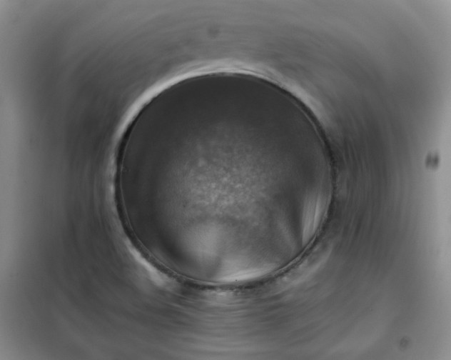 X0000100951508200807081206