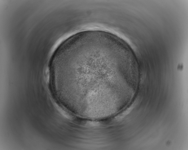 X0000100951509200807081206