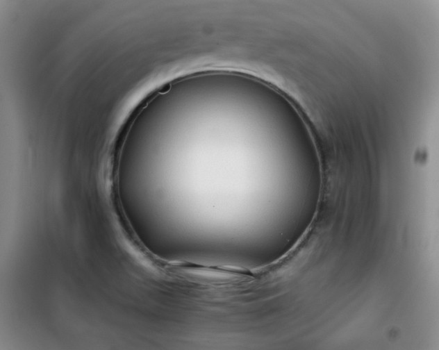 X0000100951511200807081206