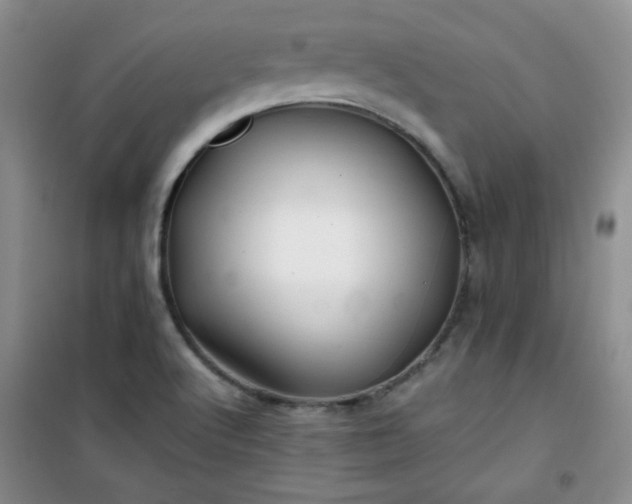 X0000100951512200807081206