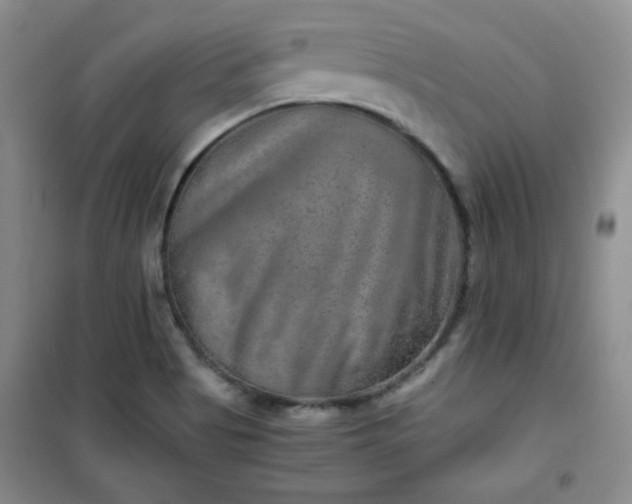 X0000100951513200807081206