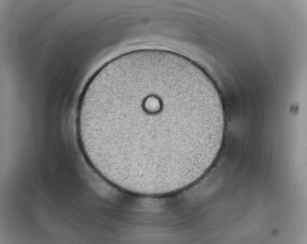 X0000100951514200807081206