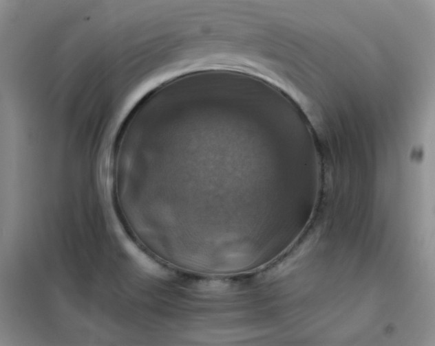 X0000100951515200807081206