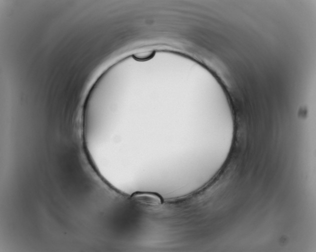 X0000100951516200807081206