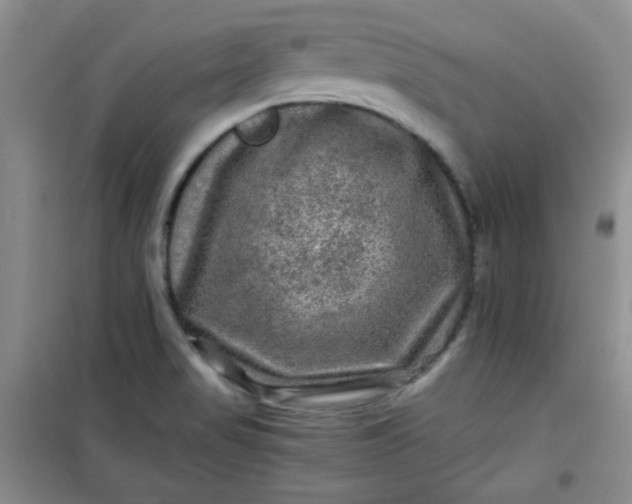 X0000100951517200807081206