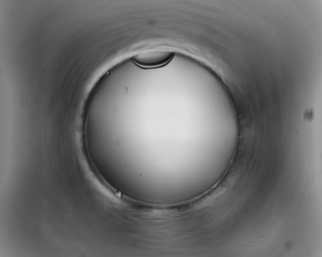 X0000100951518200807081206