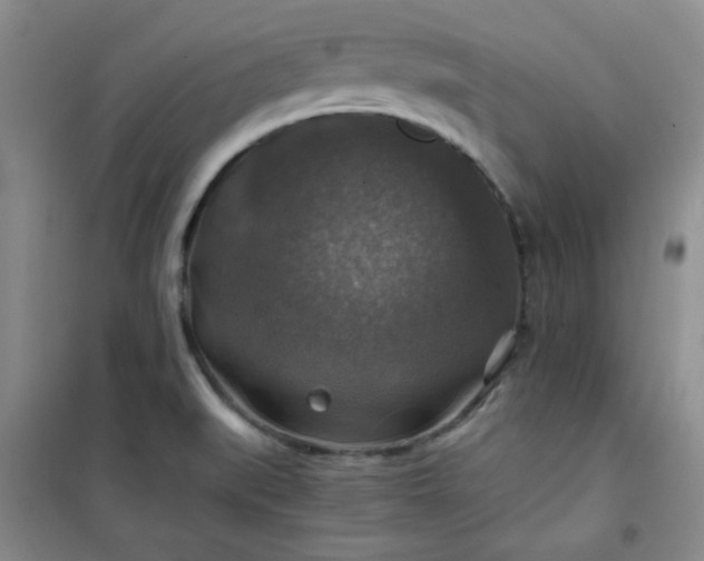 X0000100951519200807081206