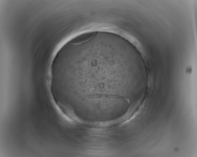 X0000100951520200807081206