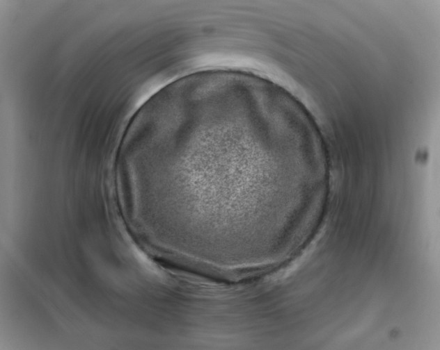 X0000100951521200807081206