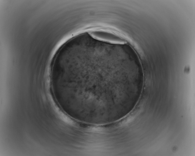 X0000100951522200807081206