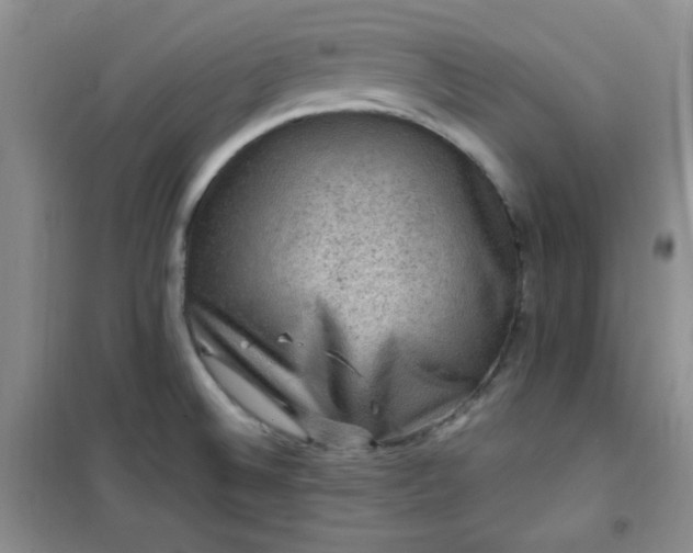 X0000100951524200807081206