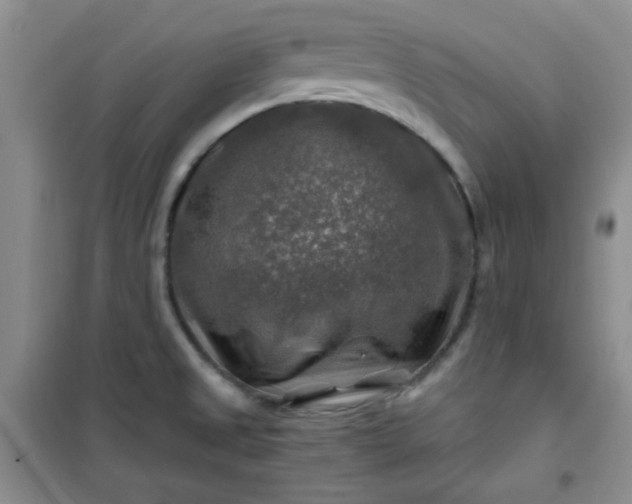 X0000100951525200807081206