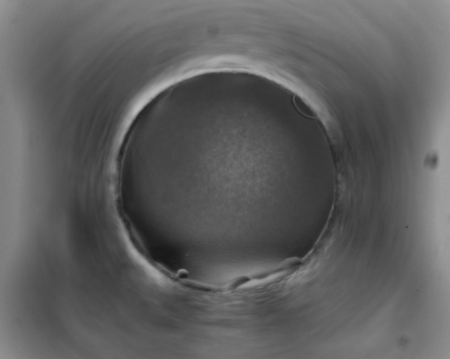 X0000100951527200807081206